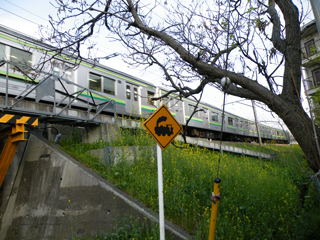 20110416 [踏切][Rail]きしゃにちゅうい:京王線北野6号踏切 