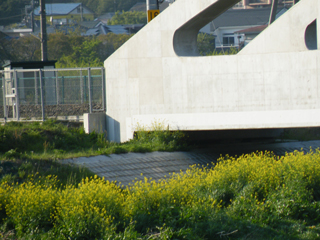 20110424 [Rail]相模線:小出川橋りょうを見てきた 